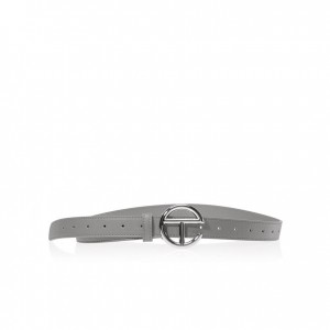 Telfar Belts Logo Ⅵ Riemen Zilver Grijs | NLZG3044