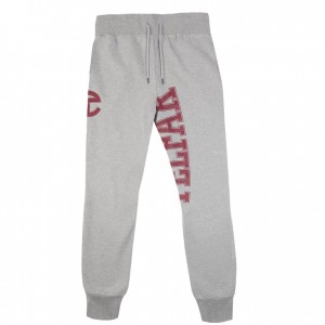 Telfar Sweatpants Logo Joggingbroek Grijs | NLIS3359